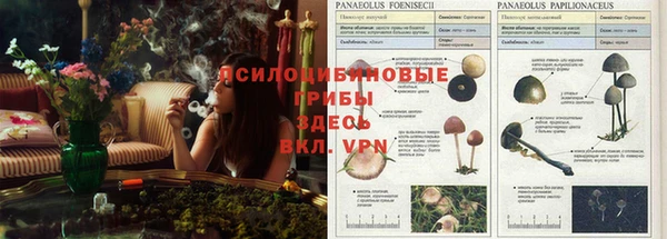 первитин Верея